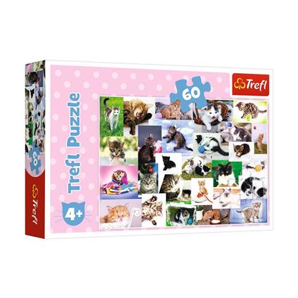 17332 Kedi Dünyası 60 Parça Puzzle -Trefl Puzzle