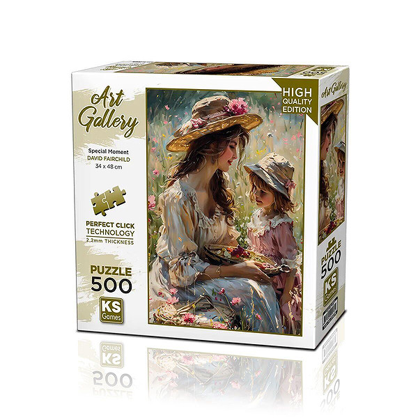 20078 Puzzle 500 Special Moment