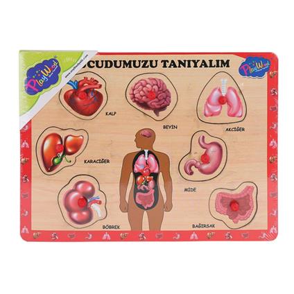 Ony-287 288 Ahşap Tutmalı Vücumuzu Tanıyalım -Onyıl Oyuncak