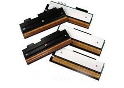 Argox IX4-240 / IX4-250 Termal Kafa