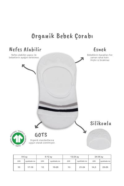 Bistyle 2'Li Penye Babet Silikon Çemberli Çorap 30102 Gri Beyaz