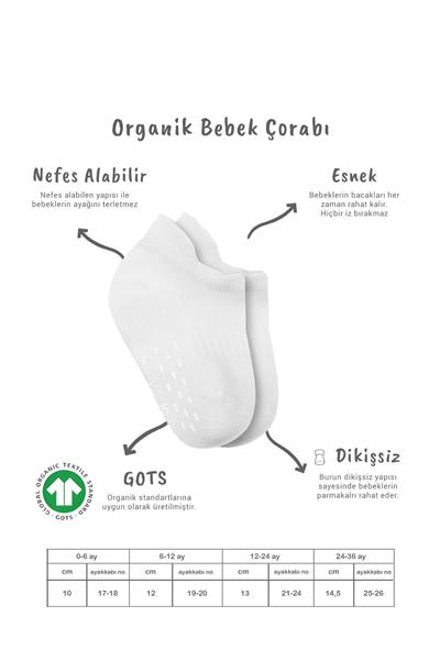 Bistyle 2'Li Sneakers Kaymaz Basic Penye Çorap 20103 Beyaz Beyaz