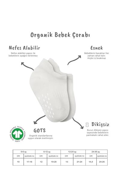 Bistyle 2'Li Sneakers Kaymaz Basic Penye Çorap 20103 Ekru Ekru