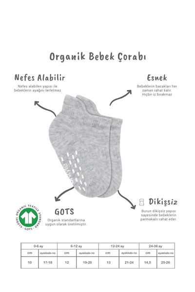 Bistyle 2'Li Sneakers Kaymaz Basic Penye Çorap 20103 Gri Beyaz