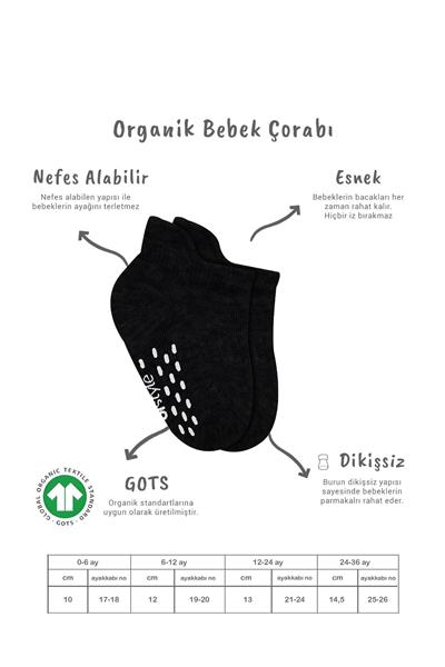 Bistyle 2'Li Sneakers Kaymaz Basic Penye Çorap 20103 Siyah Ekru