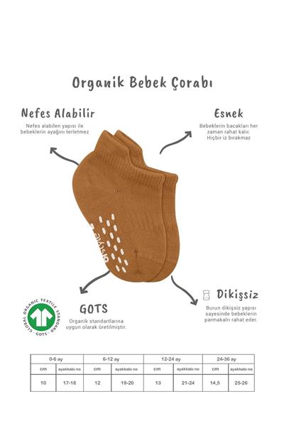 Bistyle 2'Li Sneakers Kaymaz Colours Penye Çorap 20104 Ekru Hardal