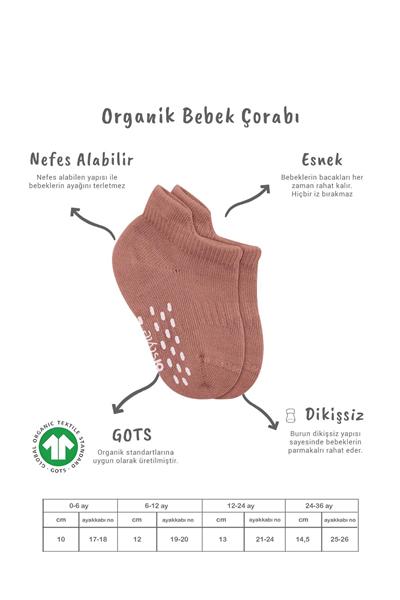 Bistyle 2'Li Sneakers Kaymaz Colours Penye Çorap 20104 Ekru Pudra