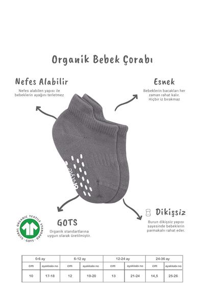 Bistyle 2'Li Sneakers Kaymaz Colours Penye Çorap 20104 Gri Beyaz