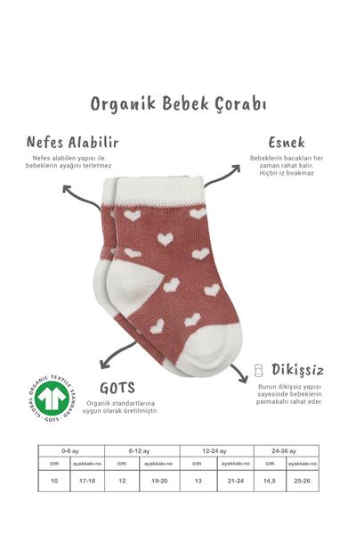 Bistyle 3Lü Penye Cute Stars Soket Çorap 10115 Pudra