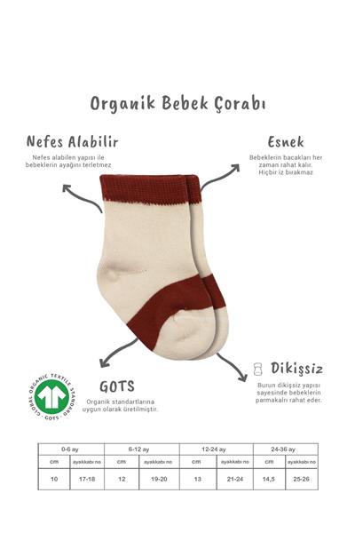 Bistyle 3Lü Penye Rainbow Soket Çorap 10113 Kiremit