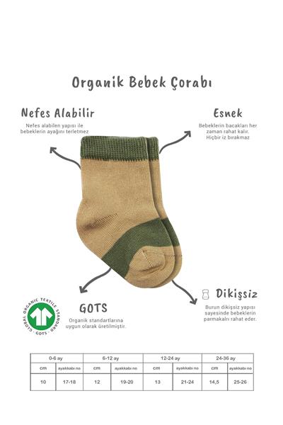 Bistyle 3Lü Penye Rainbow Soket Çorap 10113 Nil