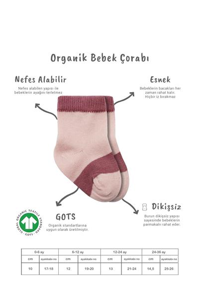 Bistyle 3Lü Penye Rainbow Soket Çorap 10113 Pudra