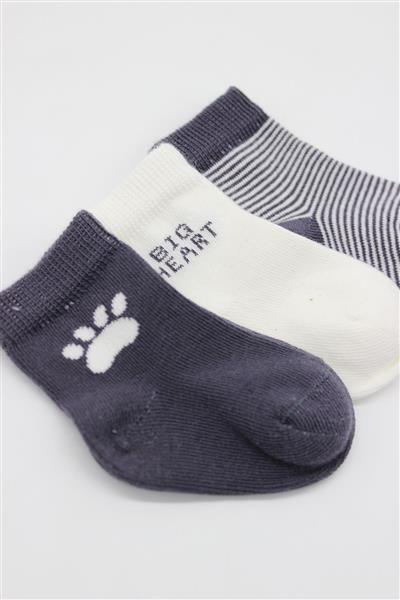 Bistyle 3'Lü Penye Soket Çorap 10110 Antrasit