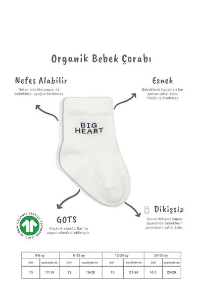 Bistyle 3'Lü Penye Soket Çorap 10110 Antrasit