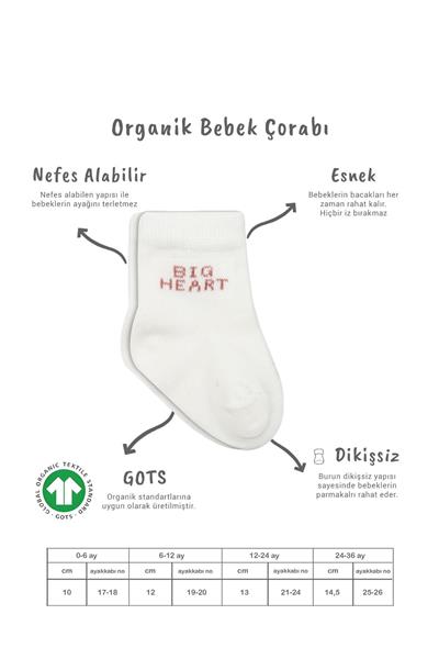 Bistyle 3'Lü Penye Soket Çorap 10110 Pudra