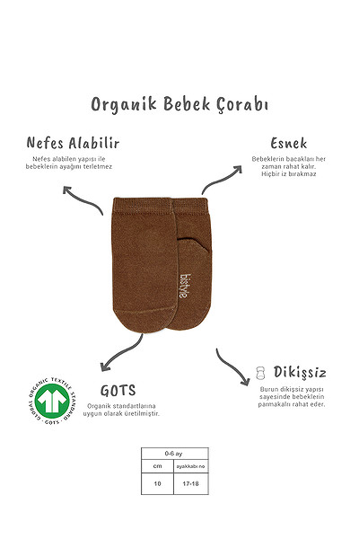 Bistyle 5'Li Penye Soket Kutulu Basic Çorap 10131 Bej