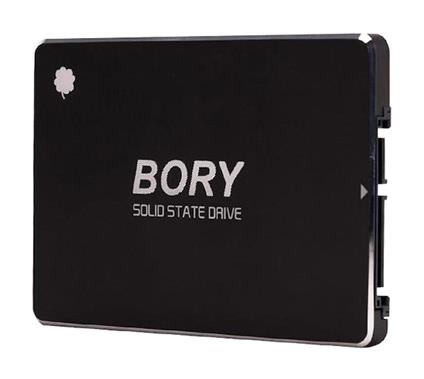 1 TB Bory Sata3 R500-C1T Ssd 550/510 Mbs (3 Yıl Garantili)