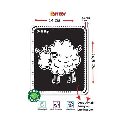 1369 F.Cards Bebeğimin İlk Zeka Kartları