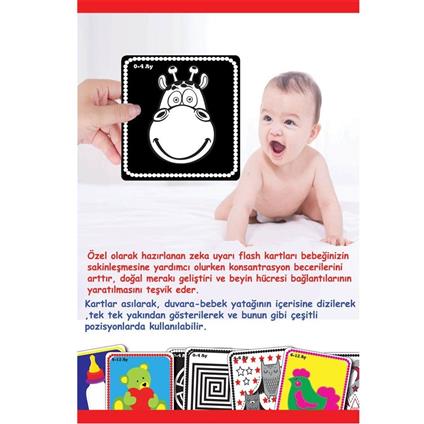 1369 F.Cards Bebeğimin İlk Zeka Kartları