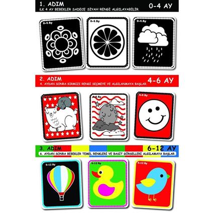 1369 F.Cards Bebeğimin İlk Zeka Kartları