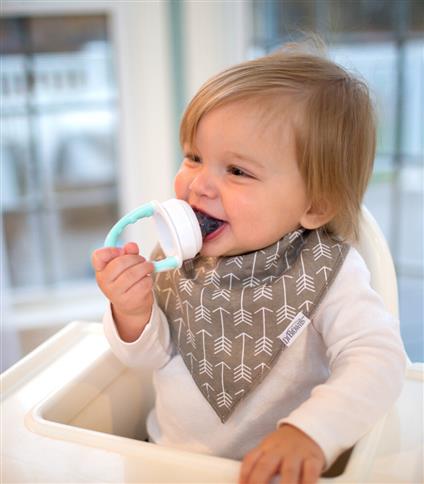 Dr.Brown's Sebze Ve Meyve Filesi Kapaklı Mint