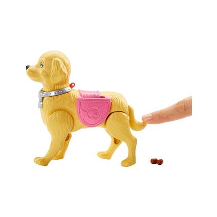 Dwj68 Barbie Ve Köpeği Tuvalet Eğitiminde