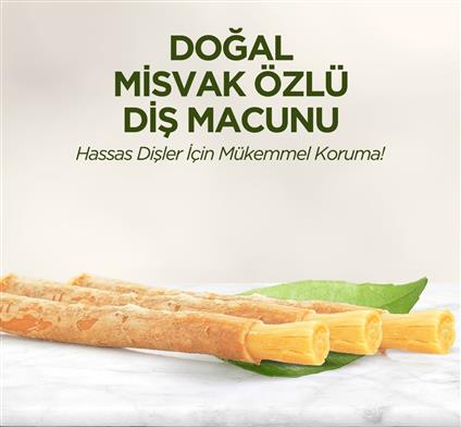 Eyüp Sabri Tuncer Doğal Diş Macunu 90 Gr Misvak Özlü