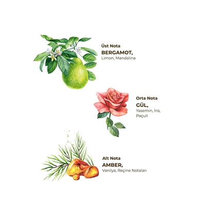 Eyüp Sabri Tuncer Kolonya Pet Şişe Sprey 150 Ml Amber