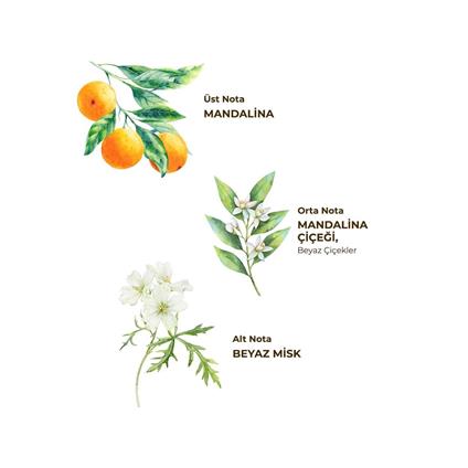 Eyüp Sabri Tuncer Kolonya Pet Şişe Sprey 150 Ml Bodrum Mandalinası