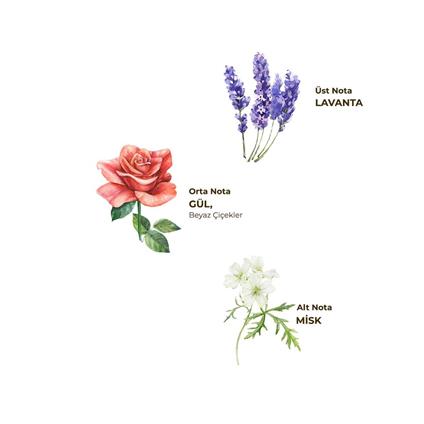 Eyüp Sabri Tuncer Kolonya Pet Şişe Sprey 150 Ml Lavanta