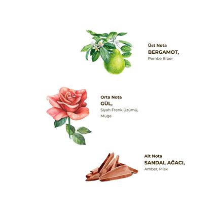 Eyüp Sabri Tuncer Kolonya Pet Şişe Sprey 150 Ml Manolya Çiçeği