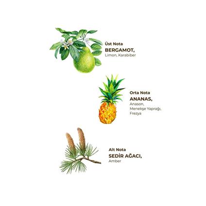 Eyüp Sabri Tuncer Kolonya Pet Şişe Sprey 150 Ml Okyanus