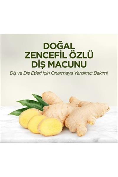 Eyüp Sabri Tuncer Doğal Diş Macunu 90 Gr Zencefil Özlü