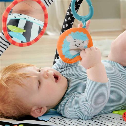 Hbp41 Fisher-Price® Neşeli Hayvanlar 3Ü1 Arada Jimnastik Merkezi