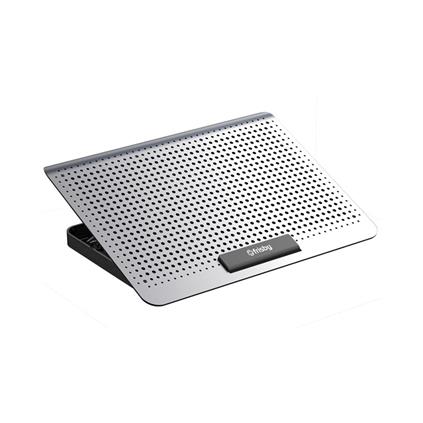 Frısby Fnc-5260ST Gri Notebook Soğutucu & Stand