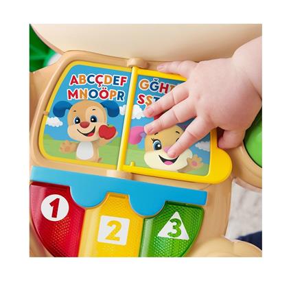 Ftg10 Fisher-Price® Eğitici Köpekçik Yürüteç /Türkçe