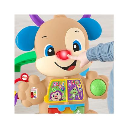 Ftg10 Fisher-Price® Eğitici Köpekçik Yürüteç /Türkçe