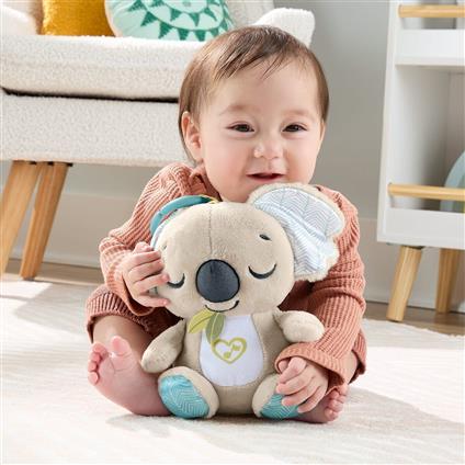 Jbd65 Fisher-Price Koala Arkadaşım