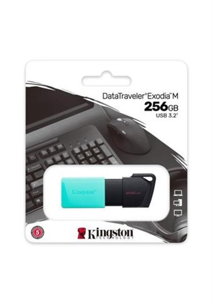 256 GB Kıngston Exodıa M Usb Bellek 3.2 DT Dtxm/256GB