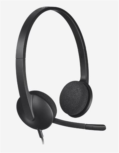 Logıtech H340 Usb Siyah Kulaklık 981-000475