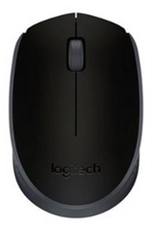 Logıtech M171 Kablosuz Usb Mouse Siyah 910-004424