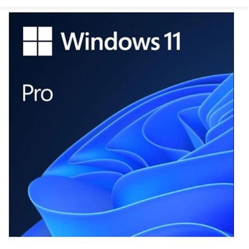 MS Wındows 11 Pro 32/64 Bıt TR Kutu Usb Hav-00159