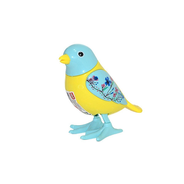 Urt005-07 Kurmalıgiller Kuş