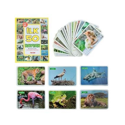 1352 F.Cards İlk 50 Hayvan