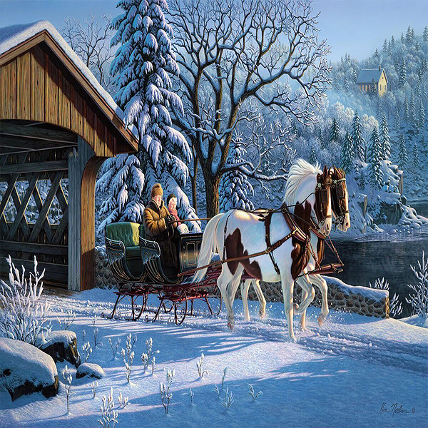 20800 Puzzle 1000 Treadured Memories