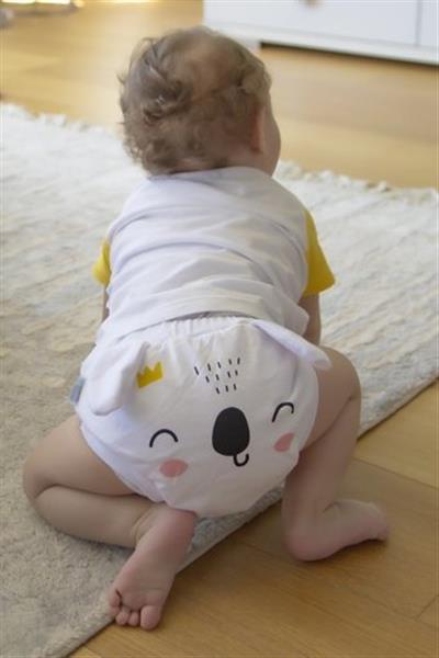 Babyjem 12 Kg Tekli Sızdırmayan Yıkanabilir Koala Desenli Alıştırma Külodu
