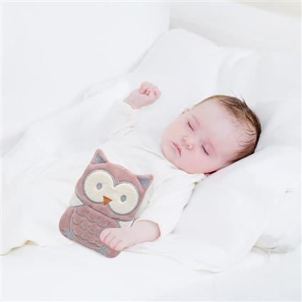 Babyjem Kiraz Çekirdekli Baykuş Kadife Gaz Yastığı 366 Gül Kurusu