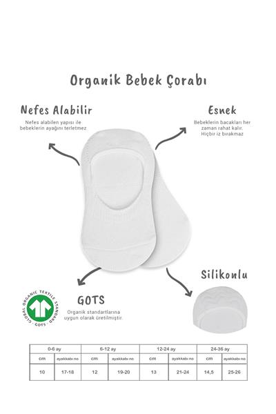 Bistyle 2'Li Penye Babet Silikonlu Basic Çorap 30104 Gri Beyaz