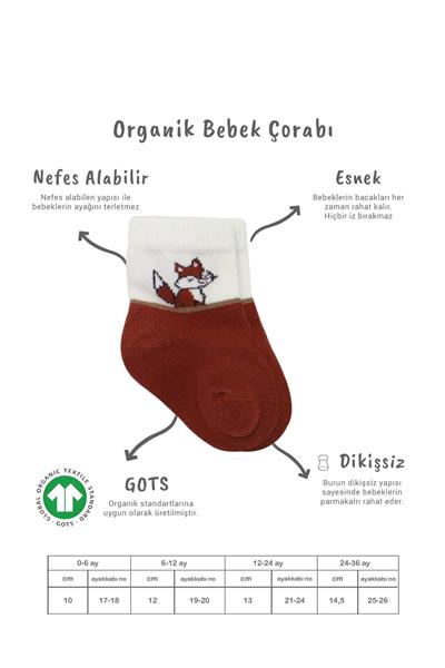 Bistyle 3'Lü Penye Soket Çorap 10109 Kiremit