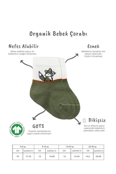 Bistyle 3'Lü Penye Soket Çorap 10109 Nil